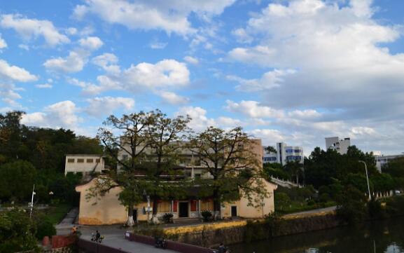 梅州好玩的地方排行榜 泰安楼国内少见,第一是梅州走向世界名片插图8