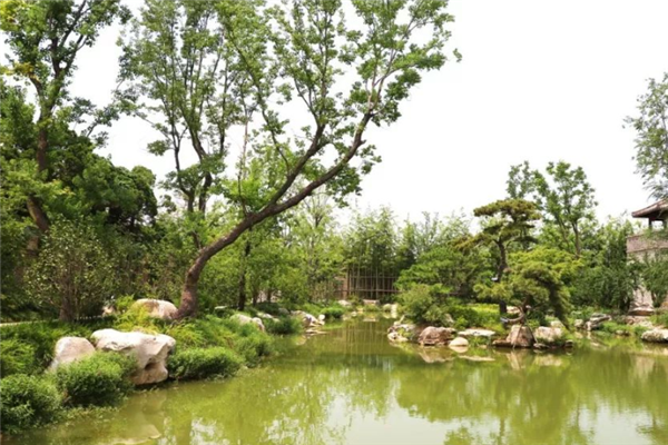 安徽省阜阳十大景区排行榜：木一博览园上榜，明清苑第三插图3