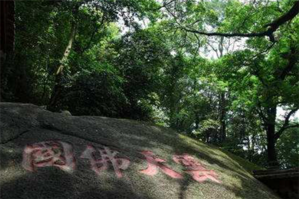 广东普宁十大最好玩的景点：南岩古寺上榜，第二漫山兰花插图7