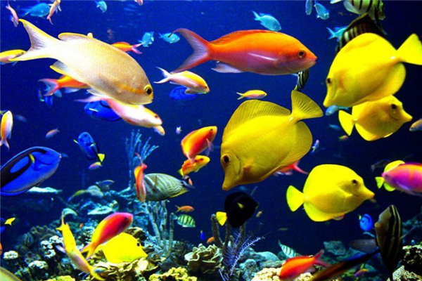 北海十大景区排行榜：外沙桥上榜，涠洲岛第一插图2