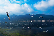 7个最适合夏季旅游的地方 昆明四季如春 洱海温度适宜|爱分享