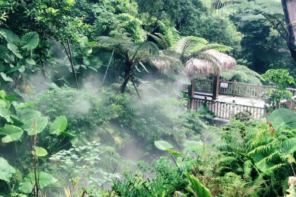 厦门十大网红景点：环岛路上榜，它是最美大学插图4