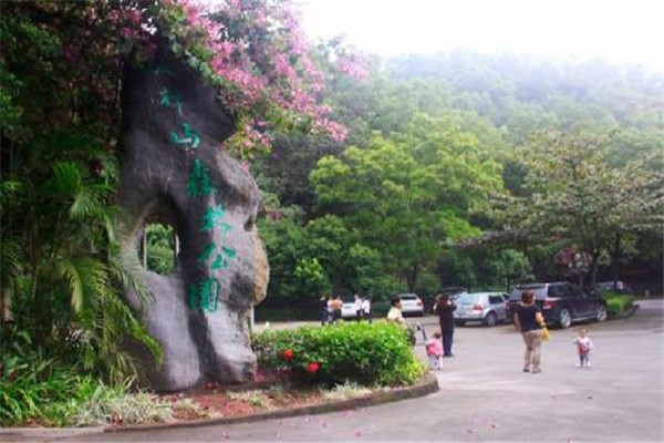 珠海十大公园广场排名:尖峰山公园第9，第10夜晚热闹插图1