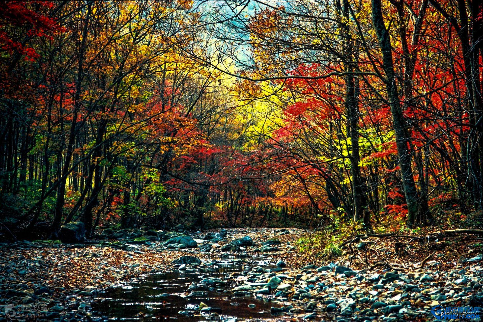 国内十大赏枫胜地排行榜插图4