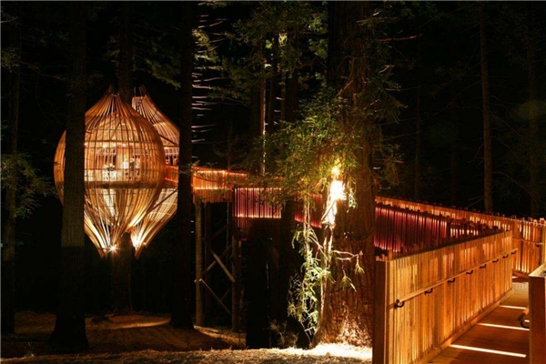 全球十大最美树屋 中国重庆七彩树屋建筑别致 巴厘岛树屋上榜插图3