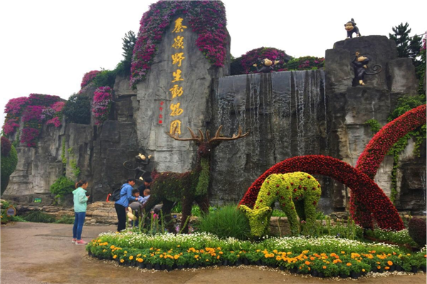 中国十大森林动物园 广州长隆野生动物园知名度高占地广插图4