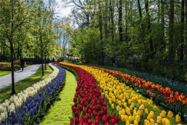 世界十大美景 冰岛蓝冰洞极其梦幻，爱的隧道一定要和爱人去插图3