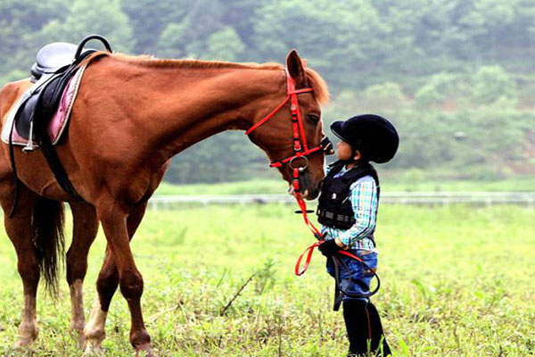重庆九大最美小镇，你的家乡有没有上榜呢插图8