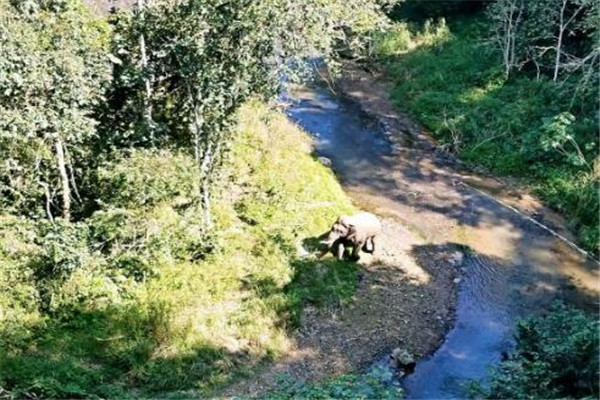 西双版纳州好玩的地方推荐 西双版纳州好玩的地方排行榜插图1