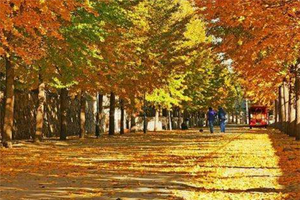 丹东十大风景名胜排行榜:凤凰山上榜,第一适合秋天去插图 丹东十大风景名胜排行榜:凤凰山上榜,第一适合秋天去插图