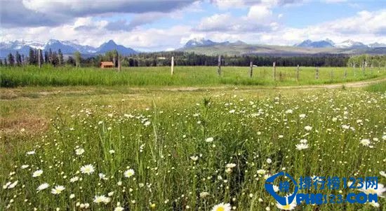 美国十大野花观赏地排行榜插图2