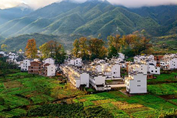 中国十大魅力名镇:西塘古镇上榜，带你体会久违的古意插图8