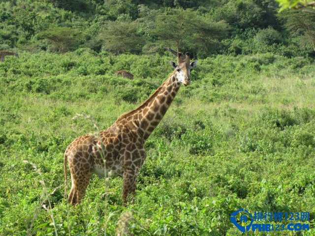 新出炉的世界十大自然保护区排行榜插图7