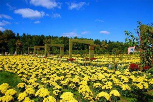 佳木斯有什么好玩的地方？盘点佳木斯好玩的地方排行榜插图5