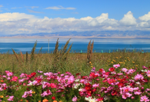 青海最好玩的十大景点，青海湖景色独特 塔尔寺艺术气息浓厚|爱分享
