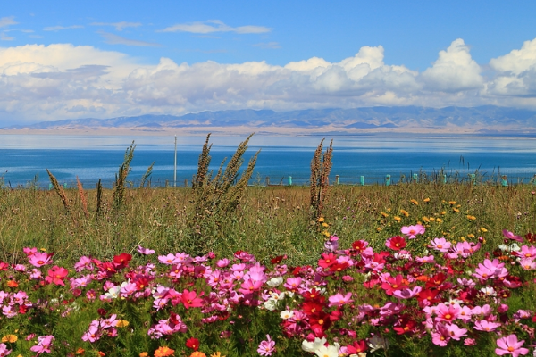 青海最好玩的十大景点，青海湖景色独特 塔尔寺艺术气息浓厚插图9