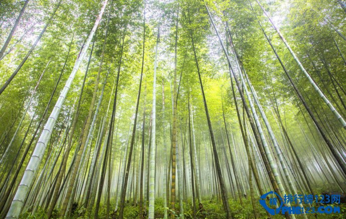 盘点中国十大天然氧吧 放下疲惫放松身心插图