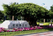 阳江十大公园广场排名：名树公园上榜，第2有网红花海|爱分享