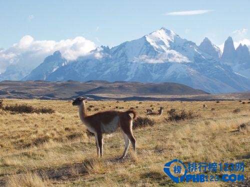 盘点全球十大适合背包客独自旅行的国家插图6