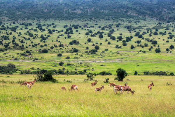 非洲最值得去的景点排行榜 埃及金字塔仅居第二，第一很浪漫插图9