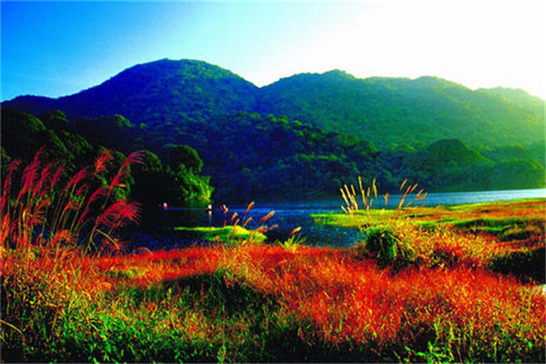 广东十大冬季旅游好去处：天露山上榜，第十冬季观候鸟插图4