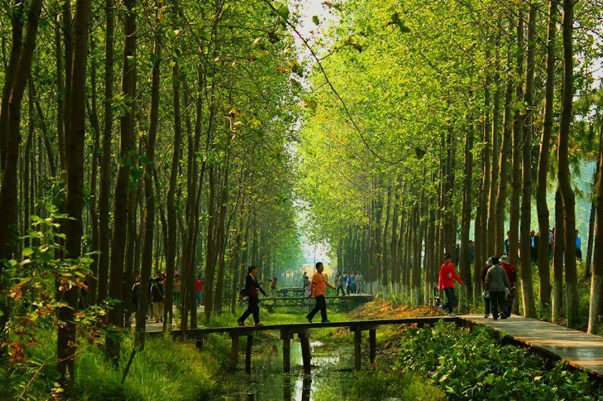 合肥十大网红景点：罍街上榜，它历史底蕴深厚插图5