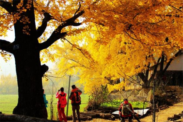 随州最好玩的地方推荐 随州好玩的地方排行榜插图3