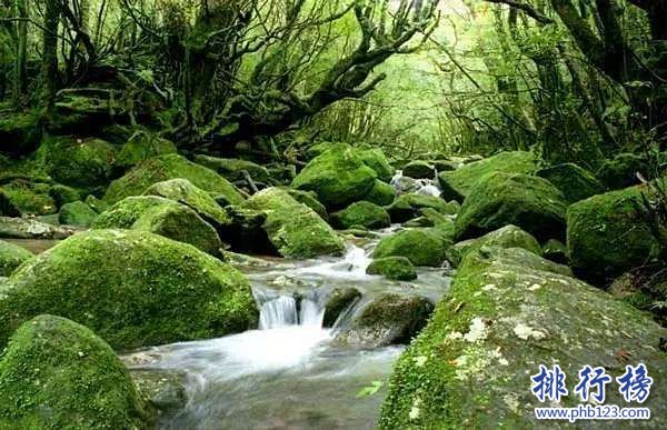 日本最值得去的地方排名2018 去日本旅游必去的地方插图6