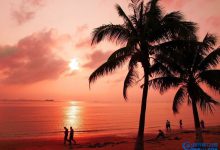 国内这六个地方是亲子旅游必去的最好场所|爱分享