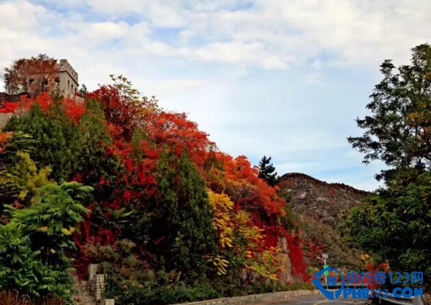 北京深秋最美的十条公路排行榜插图8