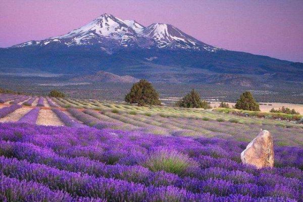 世界上最漂亮的十大景点 故宫是皇家宫殿普罗旺斯薰衣草出名插图