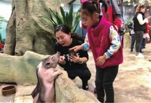 重庆十大热门动植物园:南山植物园上榜，第十在室内|爱分享