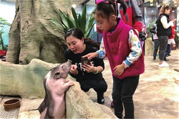 重庆十大热门动植物园:南山植物园上榜，第十在室内插图9