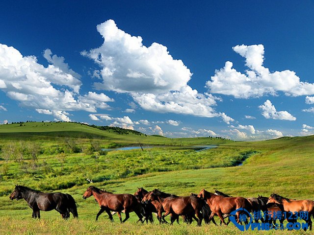 北京周边最美10大草原排行榜插图7