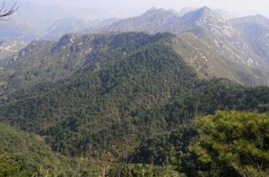 莱芜好玩的地方排行榜 莱芜十大最好玩的地方推荐插图5