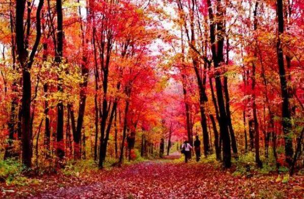 中国十大赏秋胜地 稻城亚丁上榜，第一堪称“人间仙境”插图5