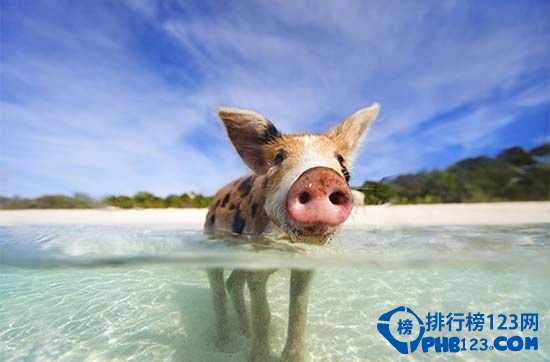 盘点加勒比海风光旖旎的小岛TOP10插图3