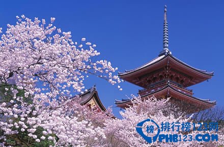 日本十大赏樱胜地排行榜插图7