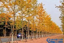 北京深秋最美的十条公路排行榜|爱分享