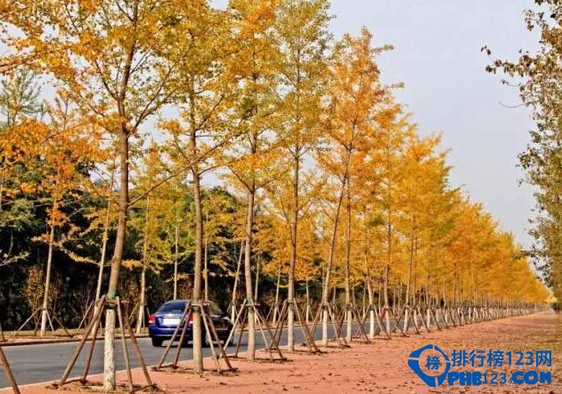 北京深秋最美的十条公路排行榜插图9