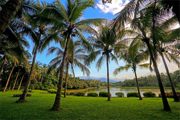 海南十大风情小镇 风景优美海鲜繁多，度假旅游休闲首选地插图1