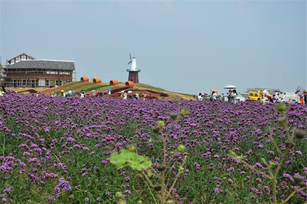 孝感最好玩的地方推荐 孝感好玩的地方排行榜插图