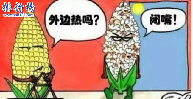 中国四大火炉排行榜：杭州上榜，第一热得爆炸插图3