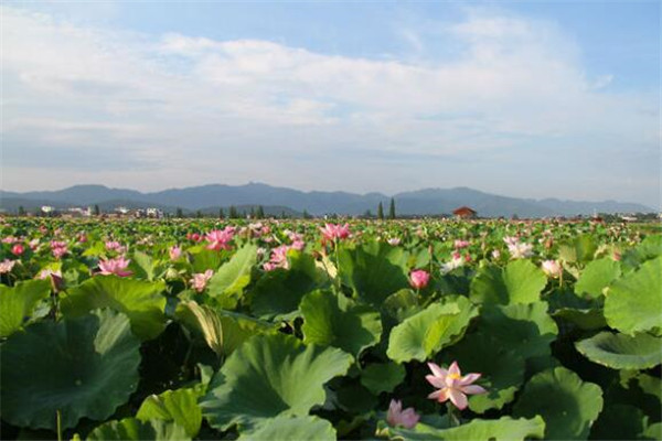 萍乡最好玩的地方推荐 萍乡好玩的地方排行榜插图3