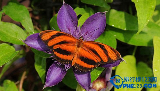 盘点全球最梦幻的10大童话花园插图2