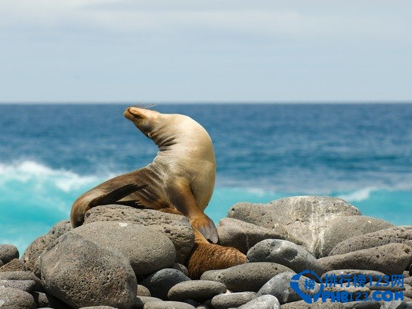全球十大冬日海上巡游目的地排行榜插图8