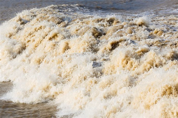 嘉兴十大风景名胜排行榜：回头潮上榜，钱塘江大潮是特色插图8