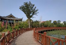 常州十大公园广场排名：青枫公园上榜，第三湿地为主|爱分享