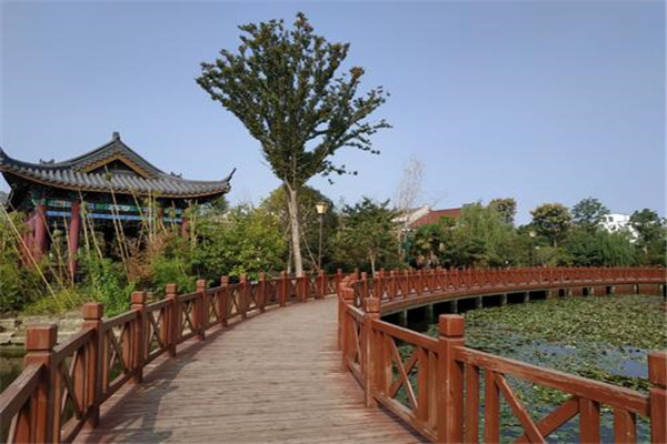 常州十大公园广场排名:青枫公园上榜,第三湿地为主插图9 常州十大公园广场排名:青枫公园上榜,第三湿地为主插图9