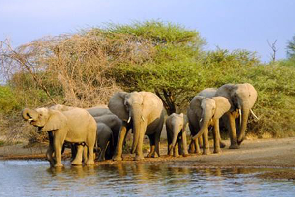 南非十大必去景点:南非不止有钻石还有美景和憨态可掬的企鹅插图1